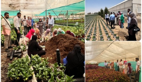 تطبيقا لمنهاج التدريب الصيفي.. جامعة كركوم تنظم لطلبتها زيارات ميدانية الى مشاريع زراعية