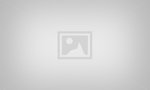 كلية التربية الاساسية تنظم ورشة عمل حول مشروع التصنيف الوطني للجامعات